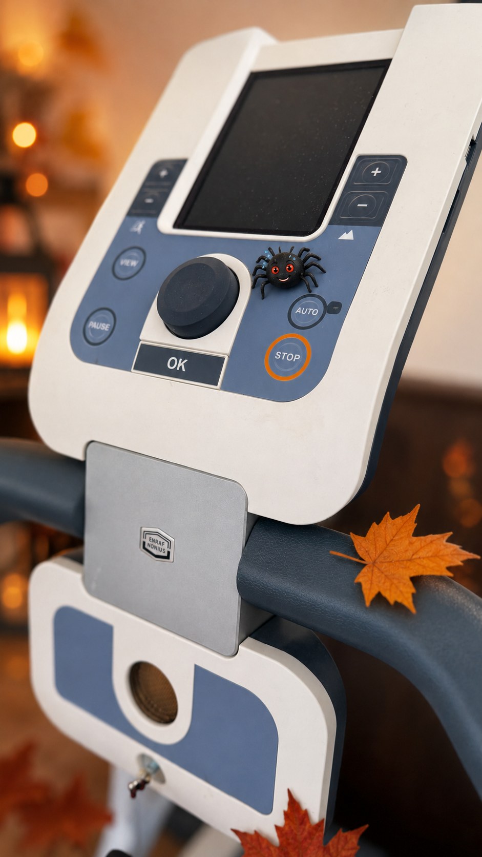 Trainingskonsole mit herbstlicher Dekoration und einer kleinen Spinne.
